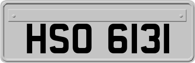 HSO6131