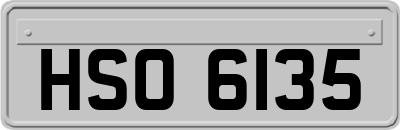 HSO6135