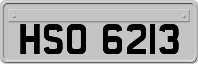 HSO6213