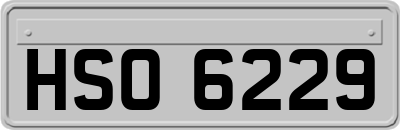 HSO6229