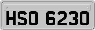 HSO6230