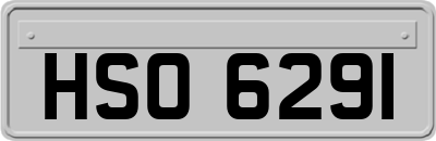 HSO6291