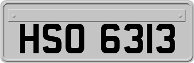 HSO6313