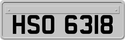 HSO6318
