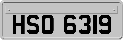 HSO6319