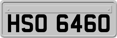 HSO6460