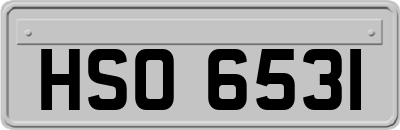 HSO6531
