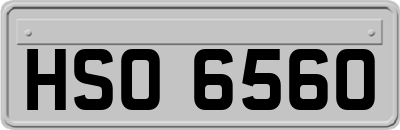 HSO6560
