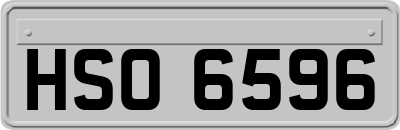 HSO6596