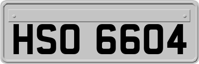 HSO6604