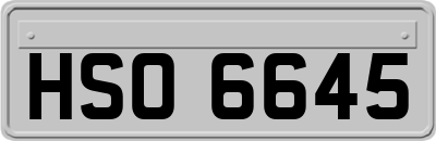 HSO6645