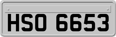 HSO6653