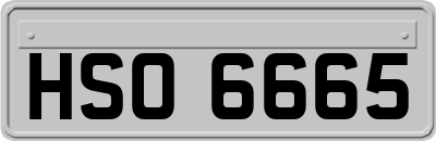 HSO6665