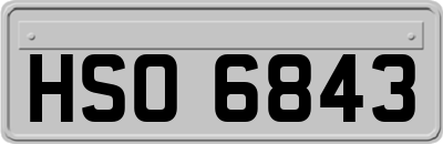 HSO6843