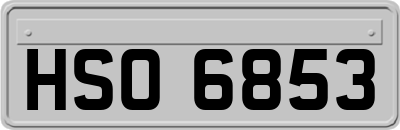 HSO6853