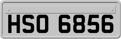 HSO6856