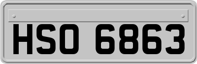 HSO6863