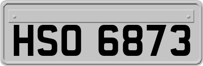 HSO6873