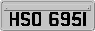 HSO6951