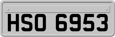 HSO6953