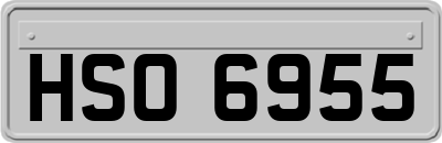 HSO6955