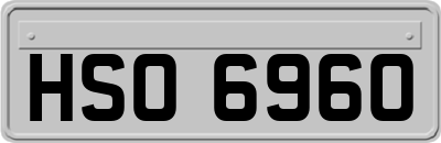 HSO6960