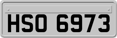 HSO6973