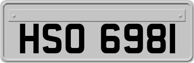 HSO6981