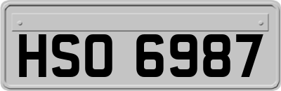 HSO6987