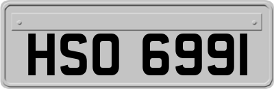 HSO6991