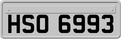 HSO6993