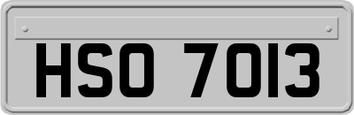 HSO7013