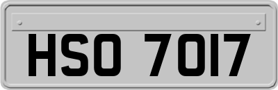 HSO7017