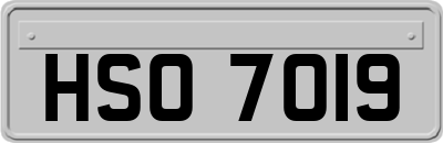 HSO7019
