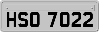 HSO7022