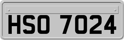 HSO7024