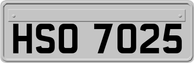 HSO7025