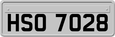 HSO7028
