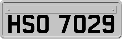 HSO7029
