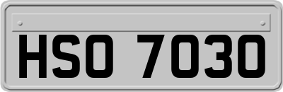 HSO7030