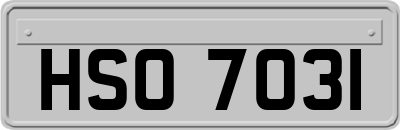 HSO7031