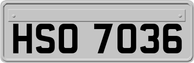 HSO7036