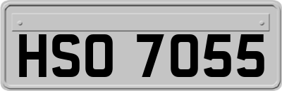 HSO7055