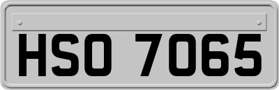 HSO7065