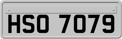 HSO7079