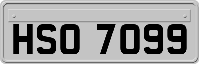 HSO7099