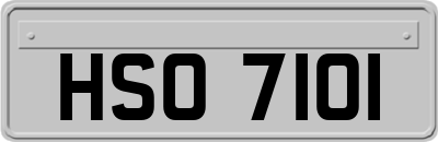 HSO7101