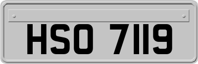 HSO7119