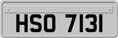 HSO7131