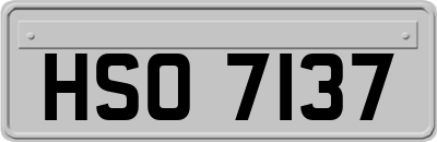 HSO7137